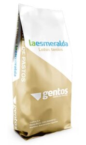 Gentos-leguminosas-Cornichão-lotus-tenuis-la-esmeralda