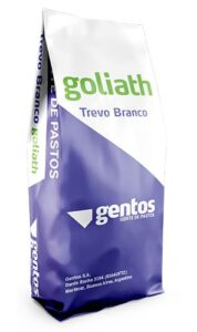 Gentos-leguminosas-trevo-branco-Goliath
